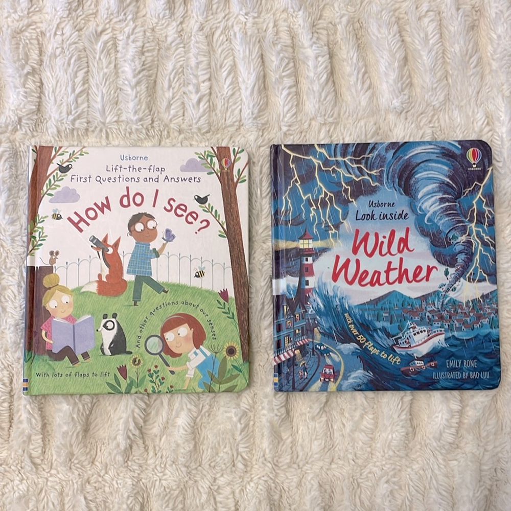SaLE ✨ Usborne Lift-the-Flap Book Bundle